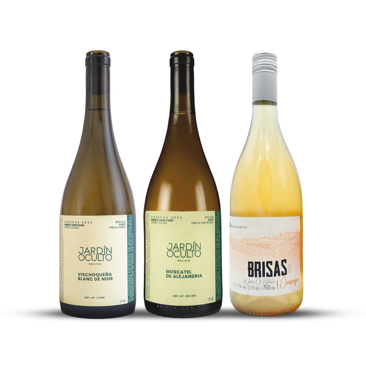 The Criolla Collective