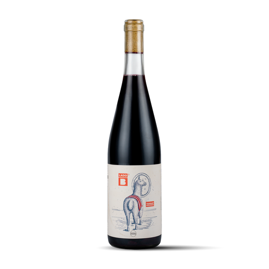 Tannat Nouveau Lado B