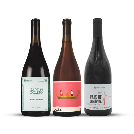 The Criolla Collective